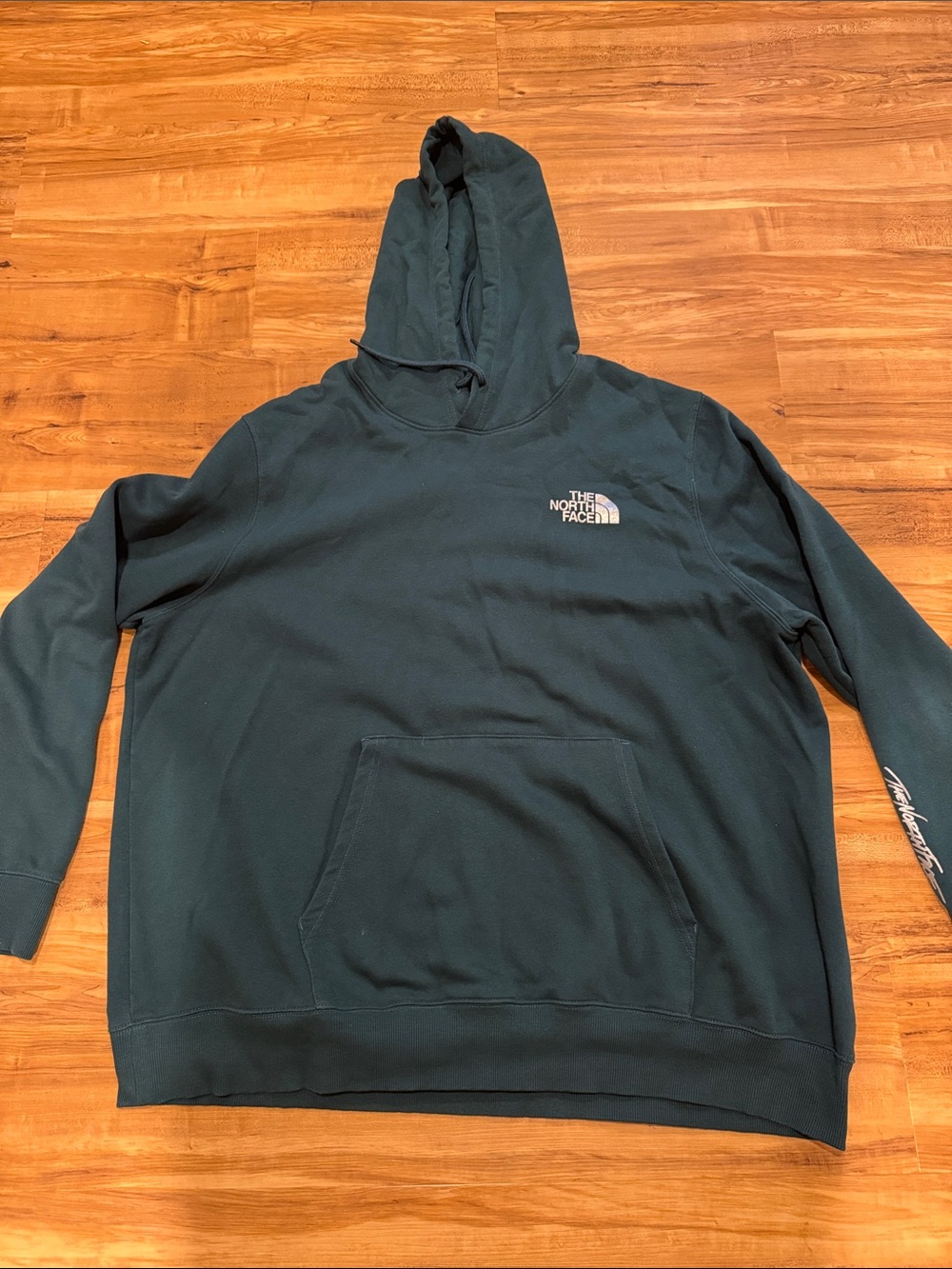 The North Face Men's Hooded Pullover Sweatshirt in Deep Teal